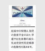 パーラメントワンKSボックス