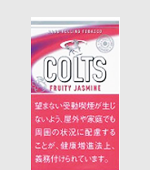 コルツフルーティジャスミン